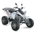 300cc Motor atv mit der EWG